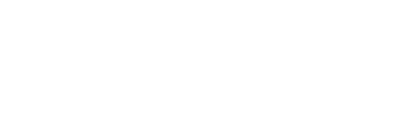 Nexo Languages